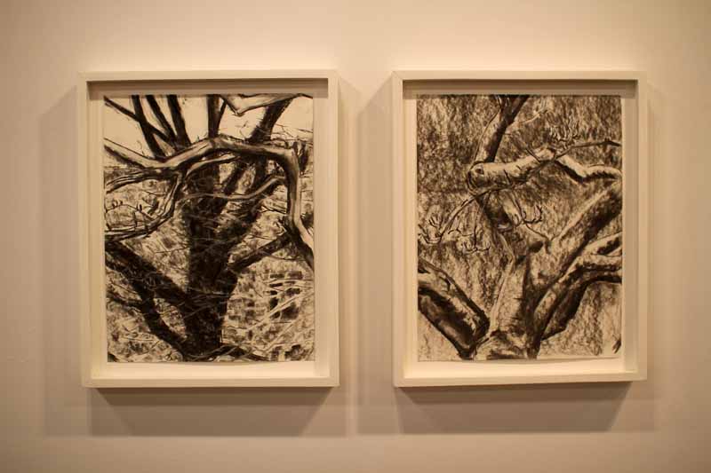 Joshua Rosenblatt